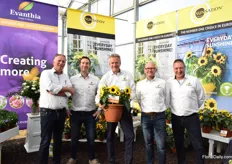 The team of Evanthia presenting the Sunsation Yellow Multiflower. New about this variety is that it is pinched. As a result it has up to 4 flowers instead of 1. All flowers flower at the same time. After the first row of flowers is done flowering, the consumer can remove it, which allows the second row of flowers to start flowering. Then, one will enjoy a flowering period of weeks.
